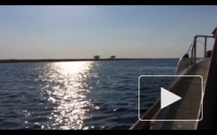 Петербургские пираты угнали прогулочный катер в Выборгском районе