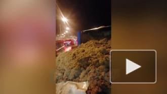 В ходе массового ДТП на КАД перевернулась фура с навозом