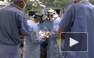 Новости часа: 1 октября, 13.00