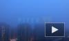 Утром 29 июля Петербург окутал густой туман