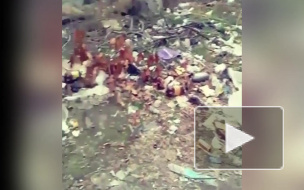 Видео стихийной свалки в центре Владикавказа повергло в шок