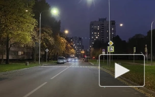 Вдоль улицы Ольги Форш  установили современные фонари