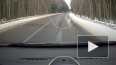 Видео: водитель в Кингисеппском районе чудом спасся ...