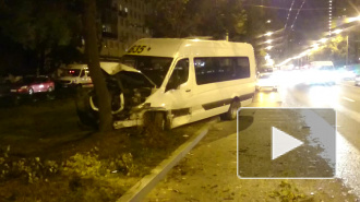 В Петербурге маршрутка с пассажирами врезалась в дерево, в ДТП пострадали четыре человека