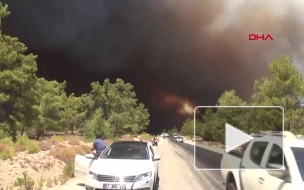 В Анталье из-за лесного пожара погиб один человек
