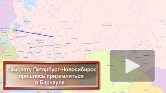 Самолету Петербург-Новосибирск пришлось приземлиться в Барнауле