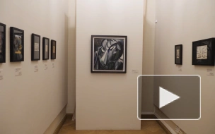 В Русском музее при поддержке Сбера открылась выставка итальянского футуризма и русского кубофутуризма