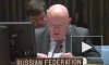 Небензя сообщил, что Россия в СБ ООН поднимет тему положения детей в конфликте на Украине