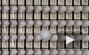 Учёные при помощи мышеловок и мячей показали, зачем соблюдать дистанцию 