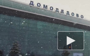 Московские аэропорты из-за непогоды за сегодня отменили более 60 рейсов