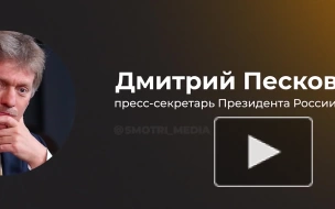 Песков заявил о консолидации общества и политики