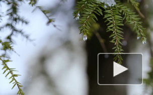 В Гидрометцентре заявили, что сильные морозы еще могут ударить в марте