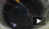 Видео: в Ломоносове из люка достали лисенка