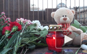 К мемориалу жертв А321 на Шафировском проспекте перевезли 25 грузовиков игрушек и цветов