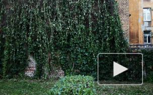 На улице Лизы Чайкиной продолжается восстановление "виноградной" стены