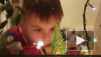 В Госдуме оценили идею продлить новогодние праздники из-за пандемии