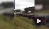 Колонна мигрантов на белорусско-польской границе попала на видео