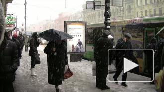 Зиме дорогу! Петербург во власти первого за сезон снегопада