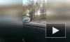 Водители Петербурга возмутились, увидев самокатчика с ребенком на Мурманском шоссе