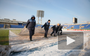 Эксперт УЕФА оценил состояние газона стадиона "Петровский" как удовлетворительное
