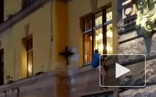 Петербургский школьник лишил "богатства" кота Елисея