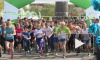 Зеленый марафон Сбербанка собрал в Парке 300-летия более 21 тысячи человек