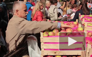 Яблочный Cпас 2015: приметы и обычаи соблюдают все верующие, люди отправляют друг другу поздравления в смс