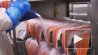 В Роспотребнадзоре рассказали, чем опасна сушеная и копченая рыба