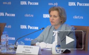 В ЦИК оценили обстановку проведения голосования по Конституции