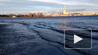 В Петербурге аномально поднялся уровень воды в Неве