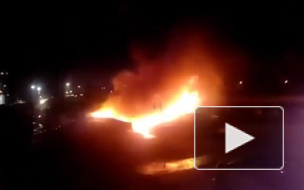 На платной стоянке в Рязани сгорели 6 автомобилей