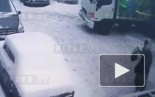 Во дворе на Проспекте Славы неизвестный вырвал сумку из рук пенсионерки