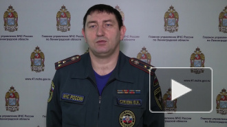 Количество погибших в аварии в Ленобласти увеличилось до девяти человек