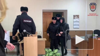 Суд в Красноярске арестовал стримершу, оравшую матом на сына