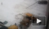 Новосибирскому малышу - трактору пришел на выручку "старший брат"(видео)