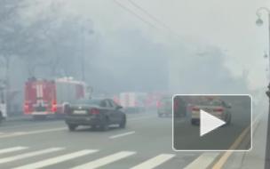 Видео: из-за пожара в нежилом доме Петроградская сторона оказалась в дыму