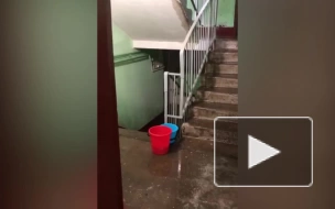 В Сестрорецке после дождя затопило многоэтажный дом