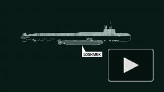 Раскрыты перспективы сгоревшего российского "Лошарика"