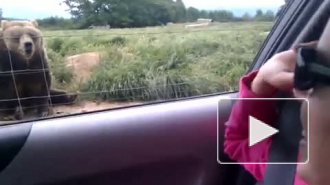 Юля Волкова - Простые движения