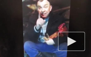 Таганрогский депутат поздравил избирателей сидя на насесте (видео)