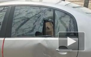 У российско-китайской границы тигр напал на женщину