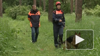 В Якутии отходит от шока девочка, которая 12 дней блуждала по тайге со щенком