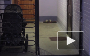 Трагедия в Нижнем Новгороде: девочка-подросток задушила 7-летнюю малышку 