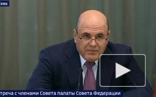 Мишустин рассчитывает на контроль сенаторами за реализацией плана восстановления экономики