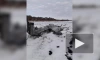 Самолет Ан-26 ВКС России потерпел крушение в Воронежской области