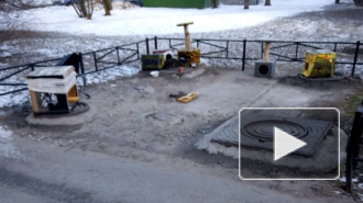 Во дворах Приморского района появились домики для бездомных животных