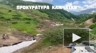 Медведь на Камчатке напал на спящую туристку