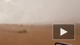 В ОАЭ в 50-градусную жару вызвали искусственный дождь