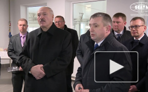 Лукашенко рассказал, что Россия не хочет поставлять гречку в Белоруссию