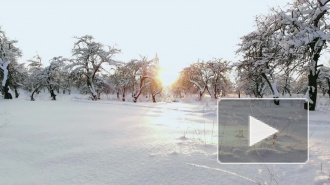 В Гидрометцентре предупредили о снежном январе